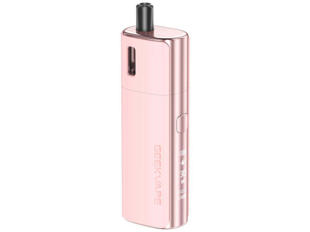 Das umfassende Zubehör des GeekVape S30 Pro E-Zigaretten Sets: USB-C Ladekabel und Bedienungsanleitung.