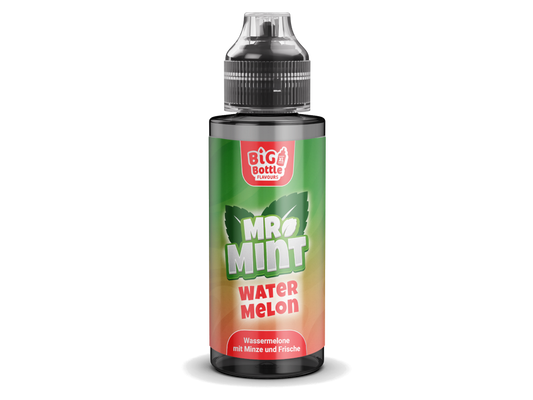 Mr. Mint by Big Bottle - Longfills 10 ml - Watermelon